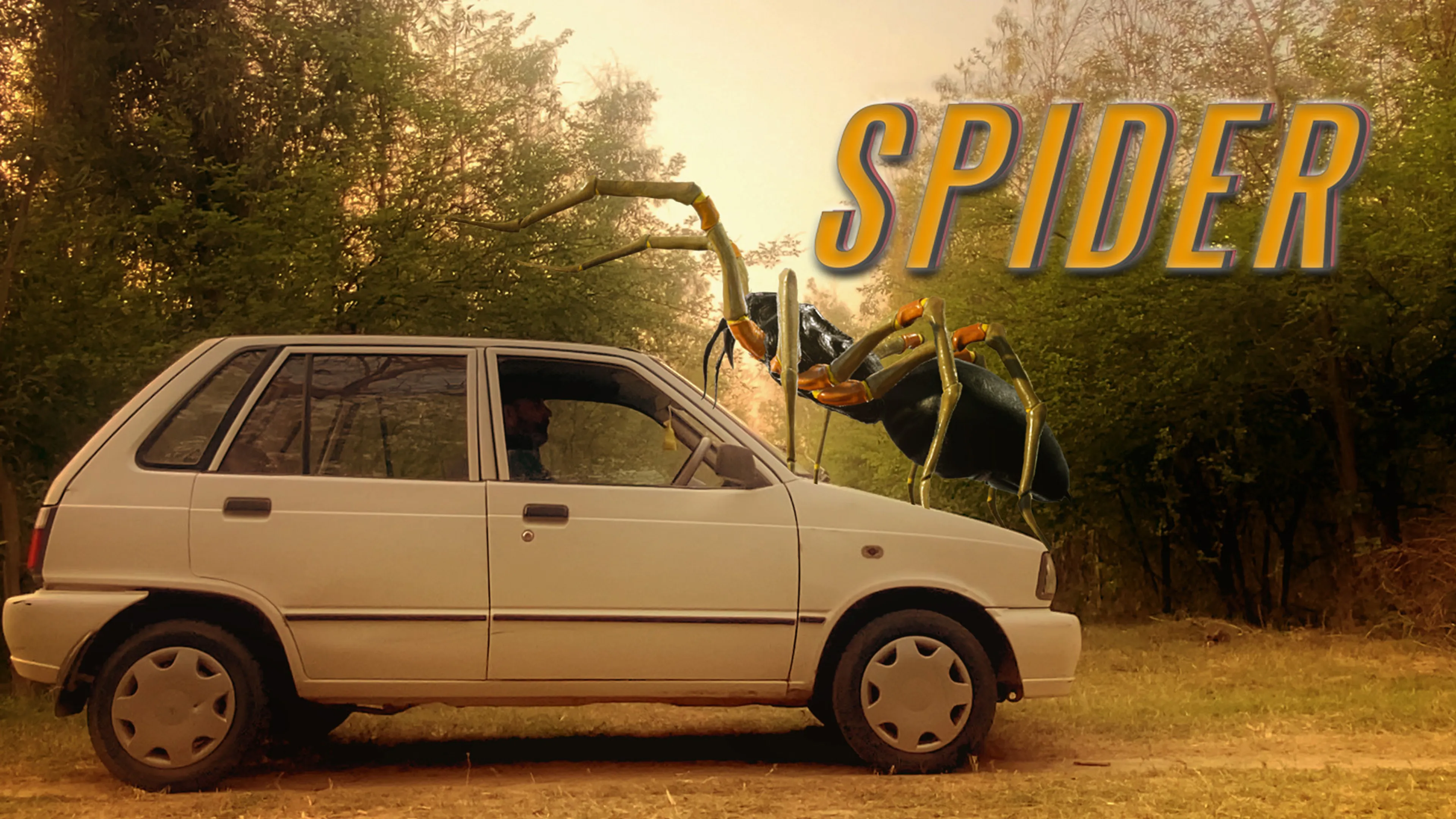 Spider poster